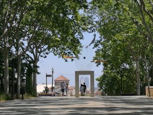 Esta foto está en venta: su valor empieza en 999€. Está a subasta. Y sube a 99999€.